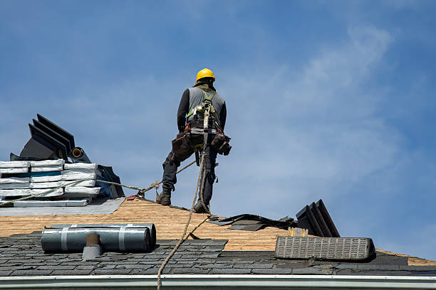 Professional Roof Replacement technician working in Hacksneck, VA